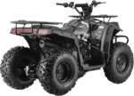 10TEN 200U is a multi purpose small capacity ATV