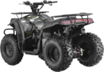 10TEN 200U is a multi purpose small capacity ATV